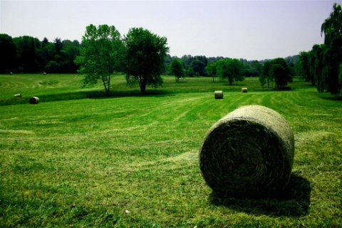 Acomodation Travel Deals and Promotions,Destinations,News,Festival Reviews,Photography,Tour Packages,Travel and Tour Ideas,Travel Essentials,Upcoming Events,Quick / Weekend Gateway,Travel Agency,Booking,Experiences, Holidays,Rental Bike, Car,  Motorcycle,Travel Guide,Beauty and Spa,Nightlife,Shopping,Ticket, Transportation,Travel Options,Cultural Explorer,Foodie Trip, Road Trip,Solo Trip ,Volunteering Trip and Backpacker,Travel Bike