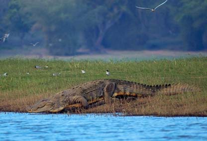 Acomodation Travel Deals and Promotions,Destinations,News,Festival Reviews,Photography,Tour Packages,Travel and Tour Ideas,Travel Essentials,Upcoming Events,Quick / Weekend Gateway,Travel Agency,Booking,Experiences, Holidays,Rental Bike, Car,  Motorcycle,Travel Guide,Beauty and Spa,Nightlife,Shopping,Ticket, Transportation,Travel Options,Cultural Explorer,Foodie Trip, Road Trip,Solo Trip ,Volunteering Trip and Backpacker,Travel Bike