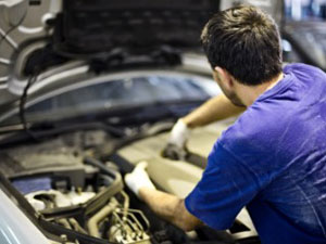 Art,Automotive,Business,Community,Education,Entertainment,Fashion,Food,Galleries,Games & Sports,Health & Beauty,Home,Industrial,Insurance,Jobs & Employment,Legal,Lifestyle,Love & Relationship,Parenting,Technology,Start Up,Travel Option and Guide,SEO website design,Rental bike, car, motorcycle