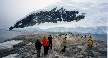 Art,Automotive,Business,Community,Education,Entertainment,Fashion,Food,Galleries,Games & Sports,Health & Beauty,Home,Industrial,Insurance,Jobs & Employment,Legal,Lifestyle,Love & Relationship,Parenting,Technology,Start Up,Travel Option and Guide,SEO website design,Rental bike, car, motorcycle