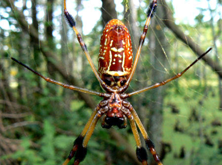 Acomodation Travel Deals and Promotions,Destinations,News,Festival Reviews,Photography,Tour Packages,Travel and Tour Ideas,Travel Essentials,Upcoming Events,Quick / Weekend Gateway,Travel Agency,Booking,Experiences, Holidays,Rental Bike, Car,  Motorcycle,Travel Guide,Beauty and Spa,Nightlife,Shopping,Ticket, Transportation,Travel Options,Cultural Explorer,Foodie Trip, Road Trip,Solo Trip ,Volunteering Trip and Backpacker,Travel Bike