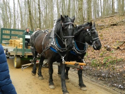 Acomodation Travel Deals and Promotions,Destinations,News,Festival Reviews,Photography,Tour Packages,Travel and Tour Ideas,Travel Essentials,Upcoming Events,Quick / Weekend Gateway,Travel Agency,Booking,Experiences, Holidays,Rental Bike, Car,  Motorcycle,Travel Guide,Beauty and Spa,Nightlife,Shopping,Ticket, Transportation,Travel Options,Cultural Explorer,Foodie Trip, Road Trip,Solo Trip ,Volunteering Trip and Backpacker,Travel Bike